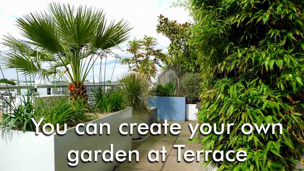 You can create your own garden at Terrace