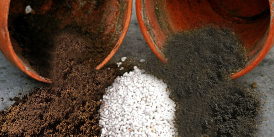 How to make your own Potting Soil | The Perfect Potting Mix Recipe