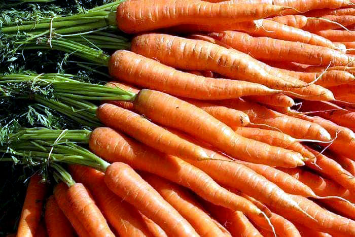 Growing carrots in containers | How to grow Carrots at home
