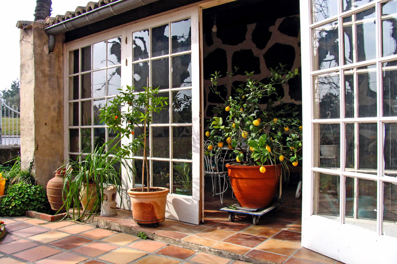 11 Small space gardening ideas  | Container gardening | Balcony garden