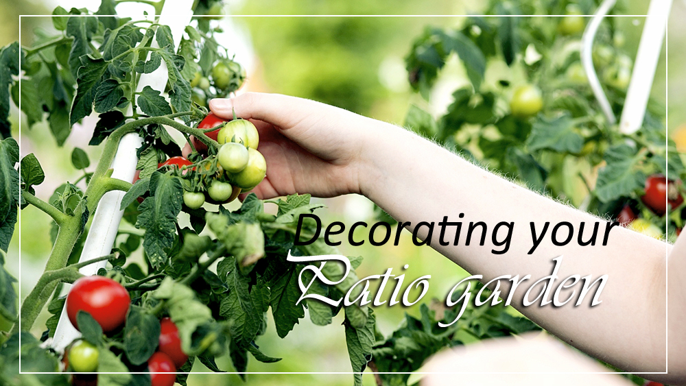Decorating your Patio garden