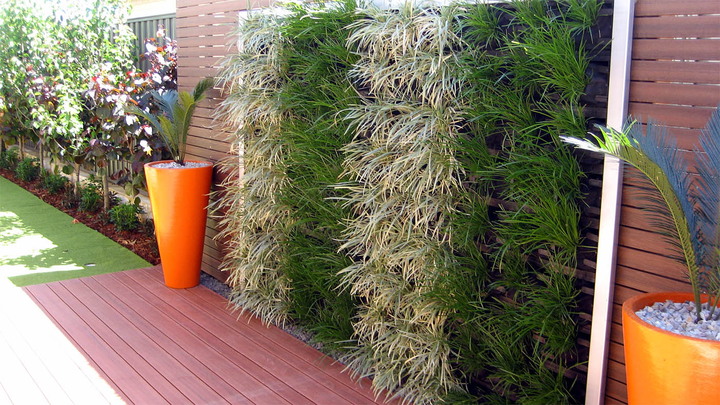 How to start Vertical Garden | Living walls 