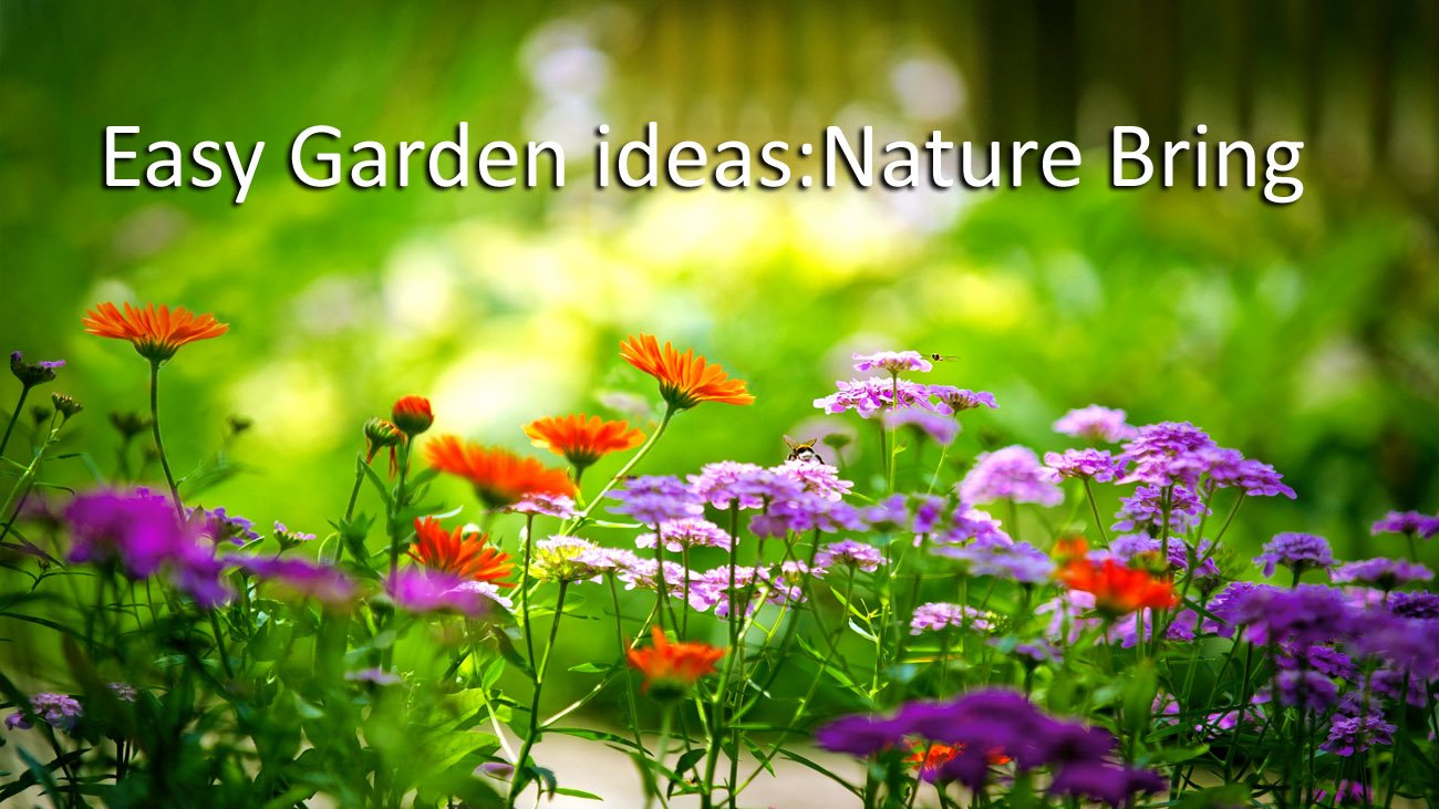 7 Easy Garden ideas | Make your garden beautiful