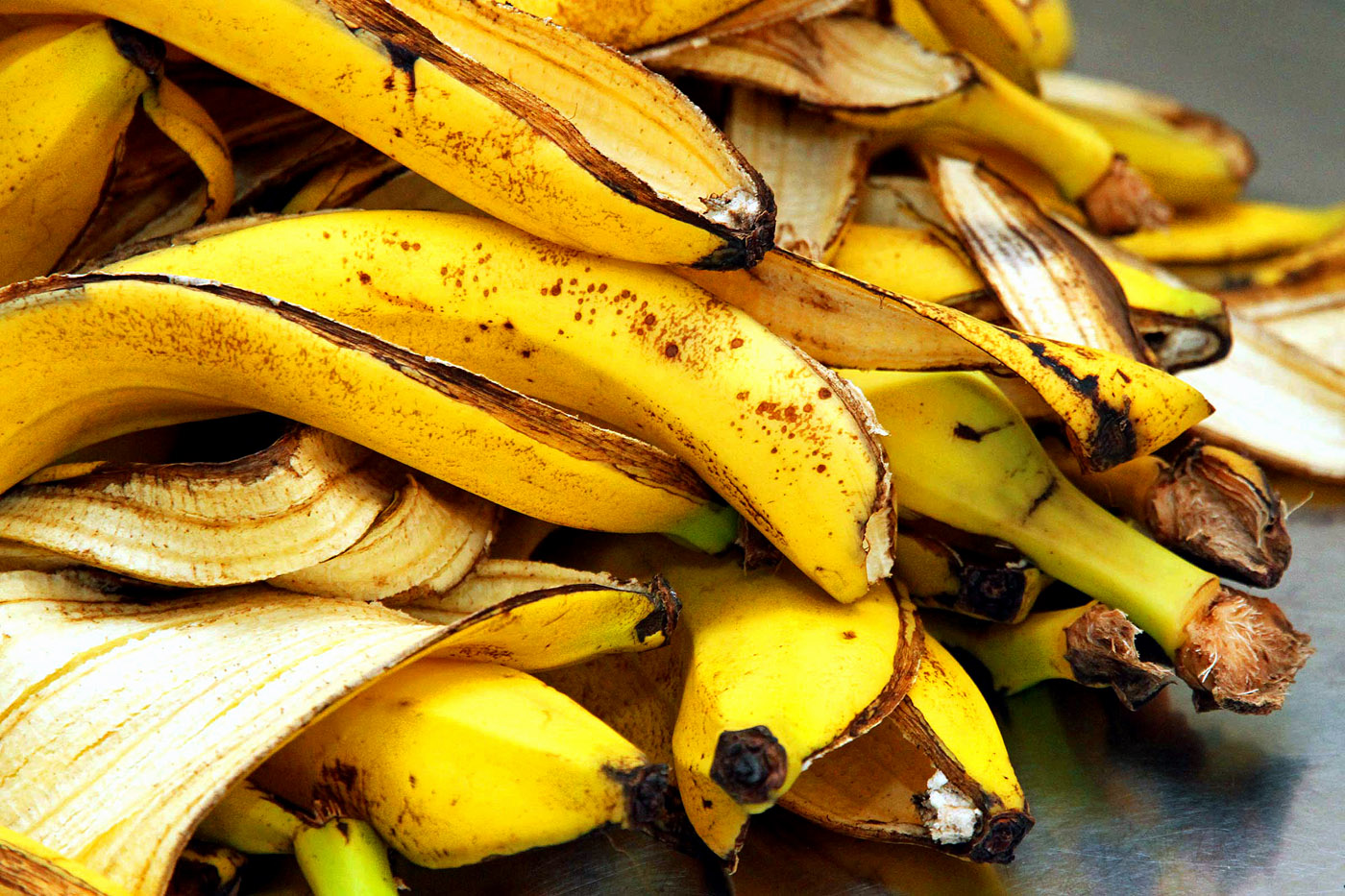 9 ways to make use of Banana Peels in the Garden | Nature Bring