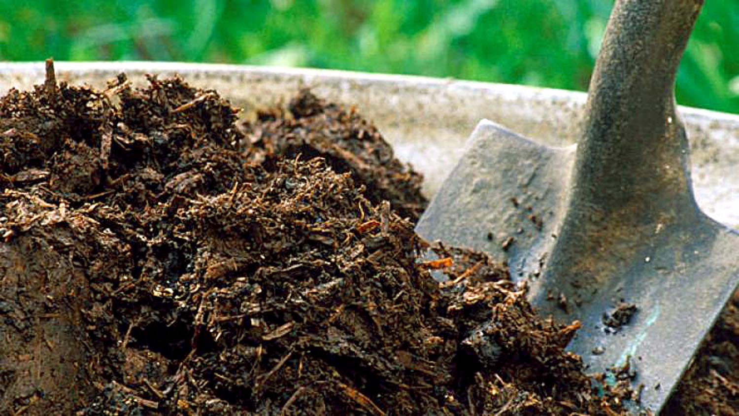 How to improve Garden soil health | Garden soil | Healthy Soil