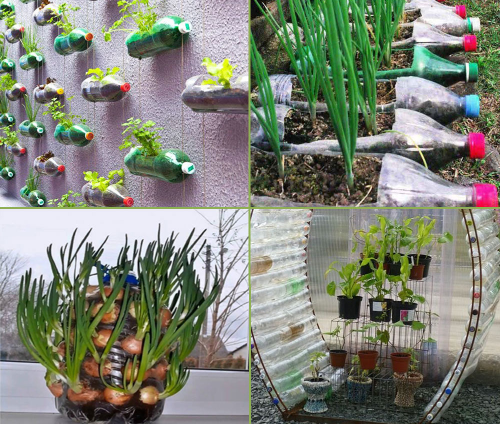 9 DIY Plastic Bottle Garden Projects