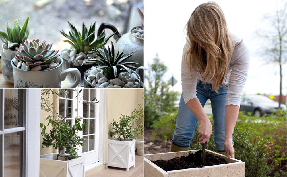 11 DIY Planters can enhance your garden beauty | DIY planter ideas