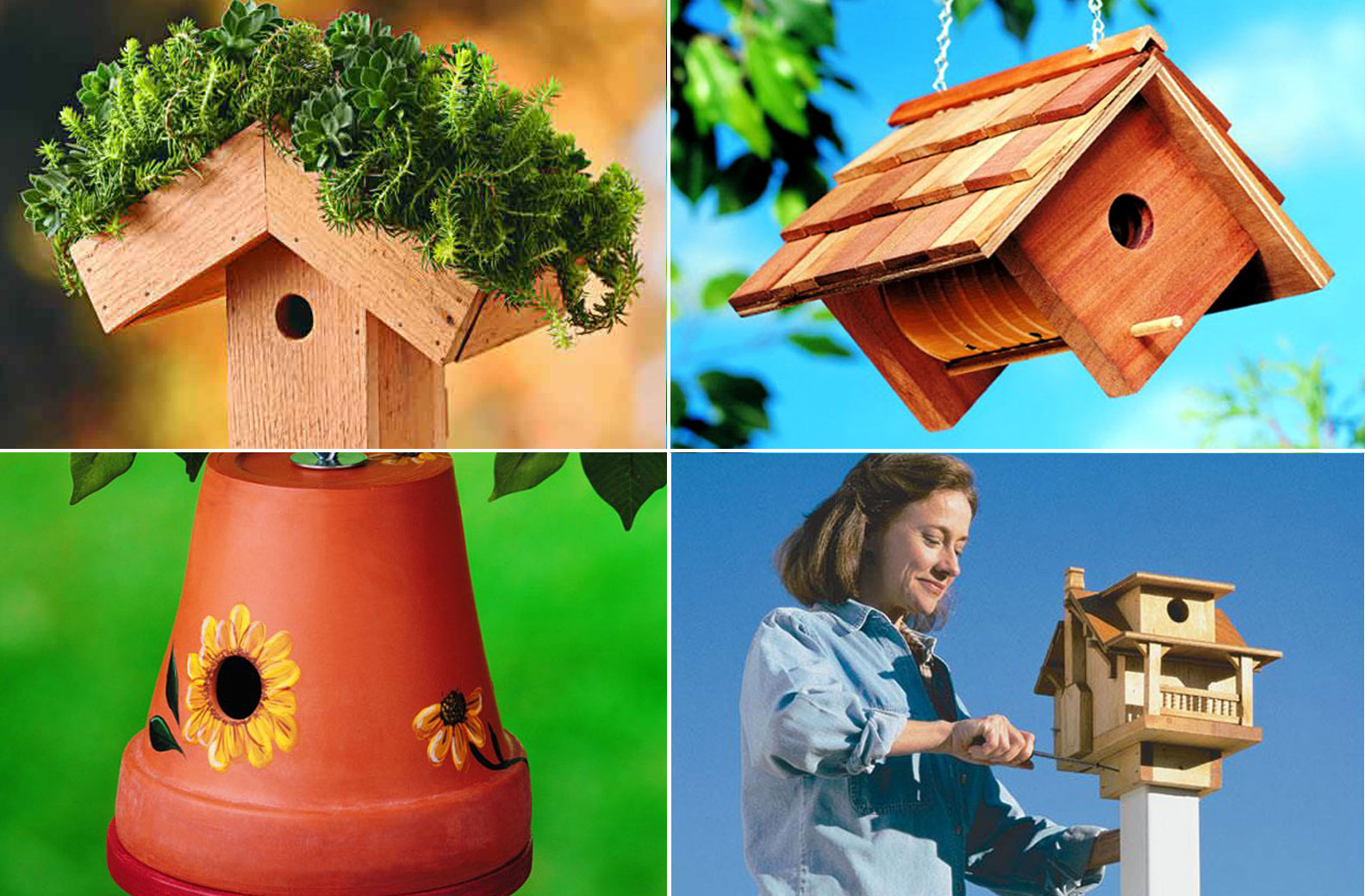 10 Charming DIY Birdhouse | plans and ideas | Nature Bring