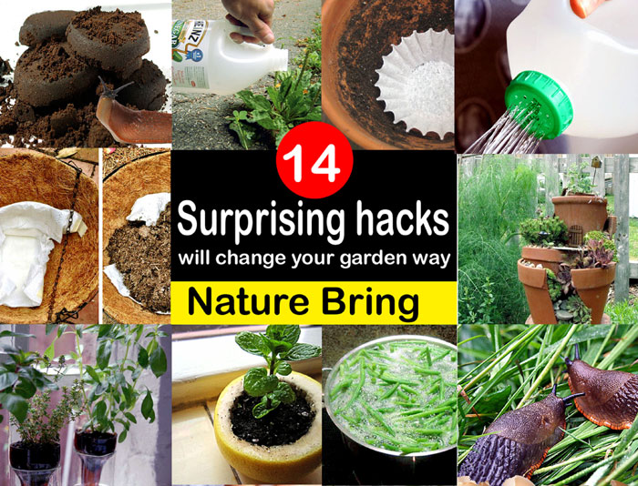 14 Gardening Hacks Are Useful For Your Smart Gardening Garden Hacks Naturebring