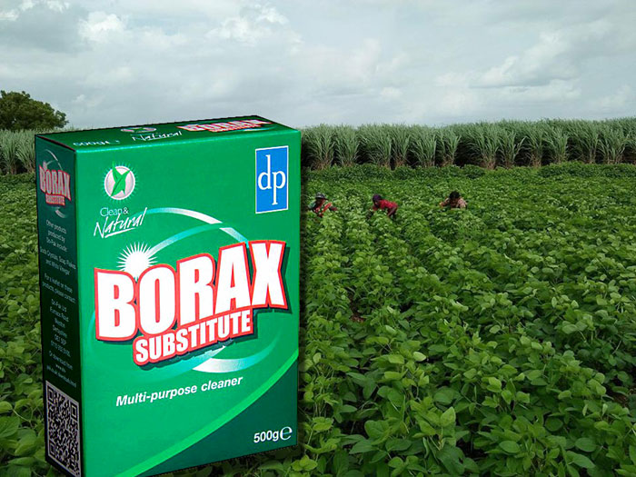 Surprising Uses of Borax in the Gardens | Nature Bring