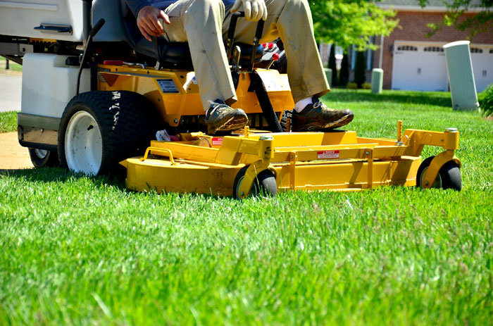 How to Care for Lawn in Summer | Lawn care tips & tricks
