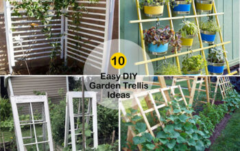 DIY Garden Trellis Ideas