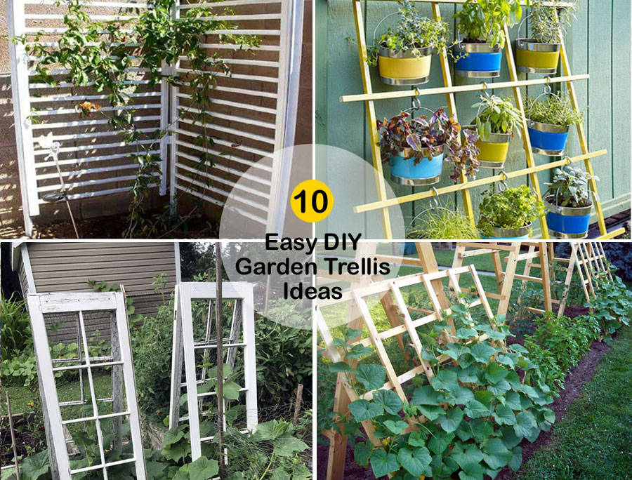 10 Easy DIY Garden Trellis Ideas | DIY Trellis for your garden