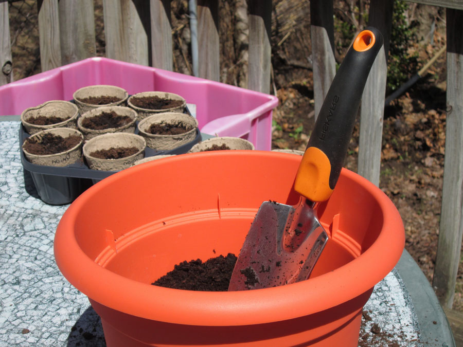 How to repot plants | Repotting plants during the growing season How to repot plants